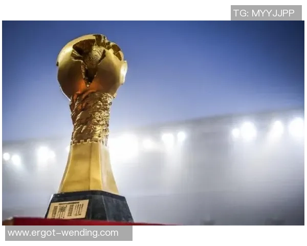 我国足坛2025赛季大结局：海港中超夺冠，国安收成足协杯